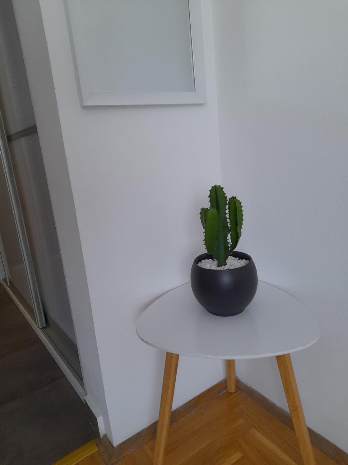Apartament Nikola Ns Nowy Sad Zewnętrze zdjęcie