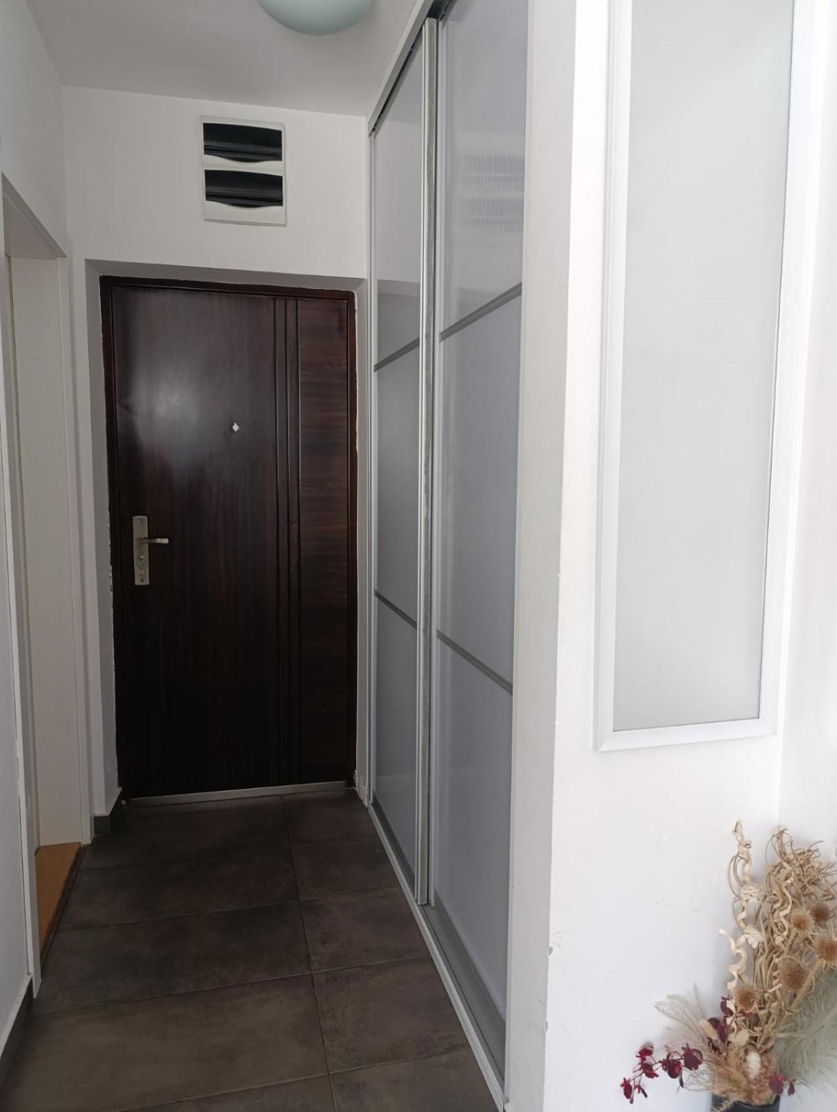 Apartament Nikola Ns Nowy Sad Zewnętrze zdjęcie